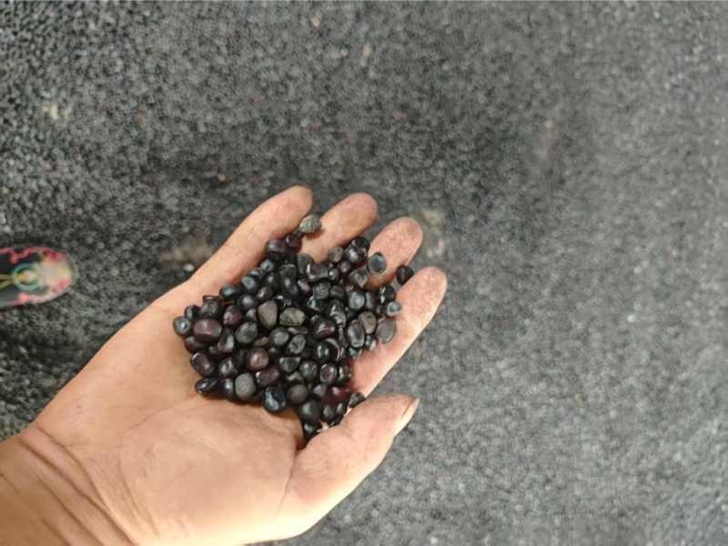 纯新牡丹籽基地直供批发零售欢迎咨询