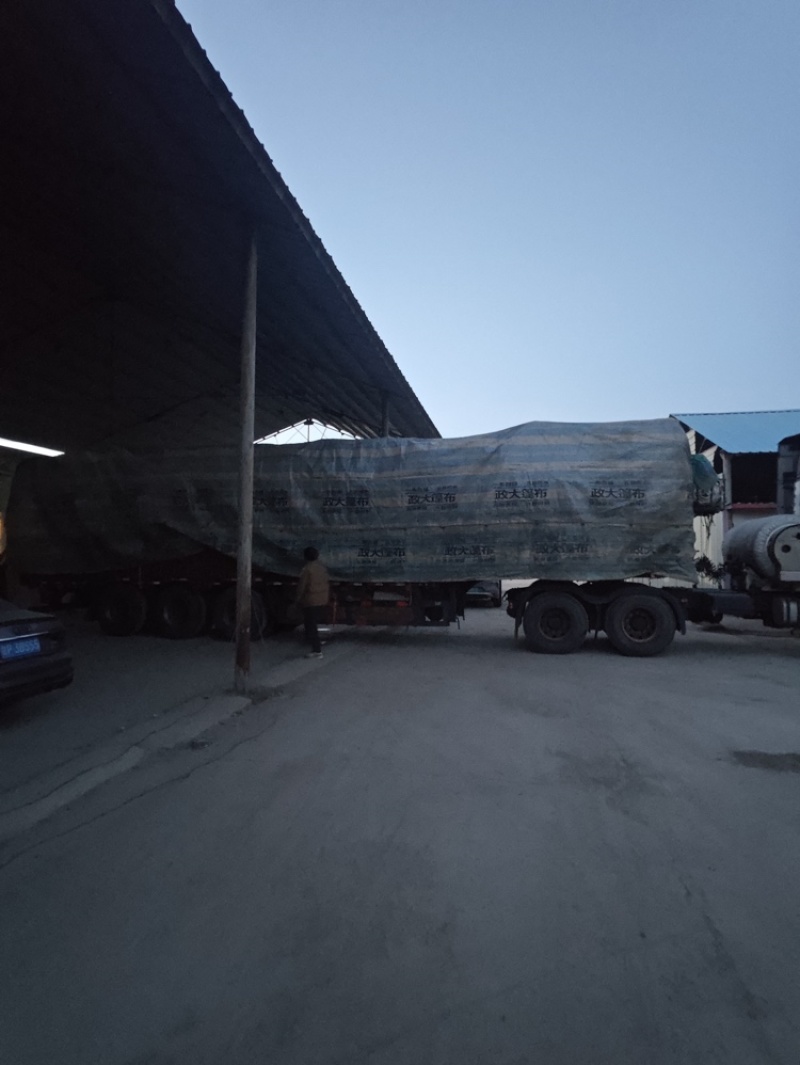 纯新牡丹籽基地直供批发零售欢迎咨询