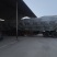 纯新牡丹籽基地直供批发零售欢迎咨询