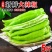 黄皮辣椒/河北辣椒/菜椒/当天采摘/当天有货