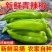 黄皮辣椒/河北辣椒/菜椒/当天采摘/当天有货
