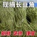 河北长豆角/豇豆/河北豆角/批发价/大量有货