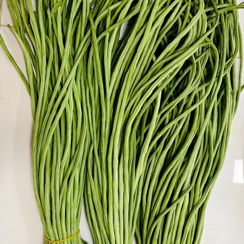 河北长豆角/豇豆/河北豆角/批发价/大量有货