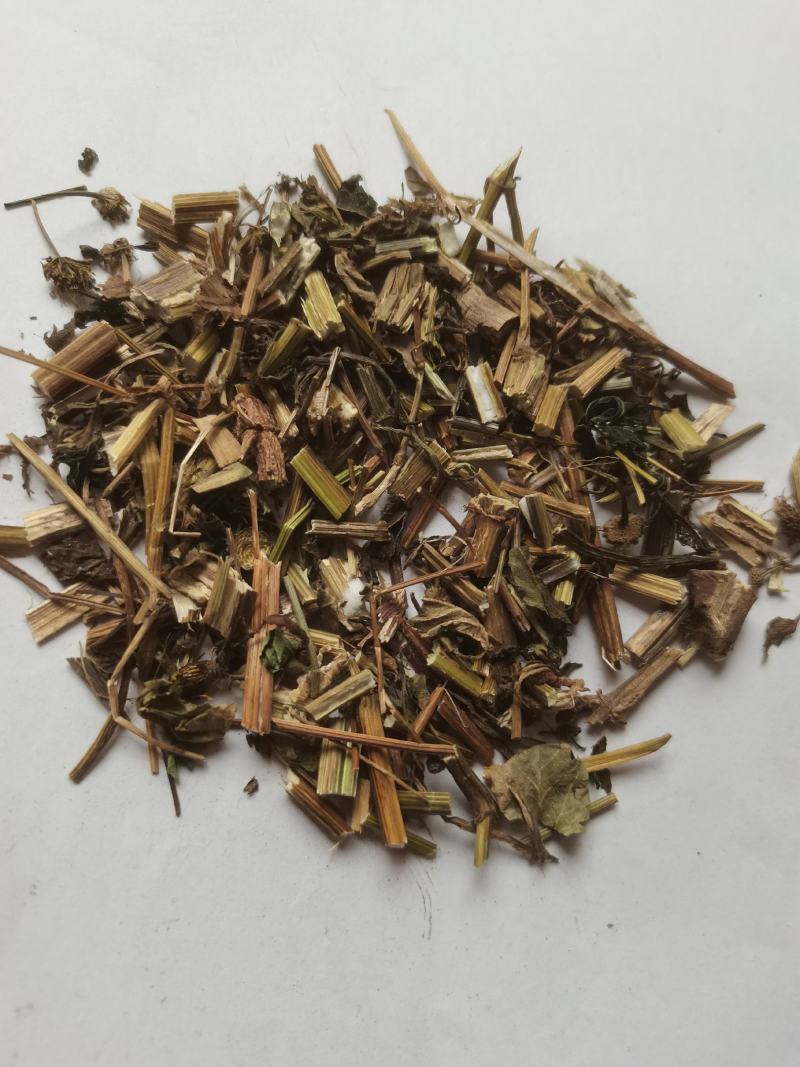 广西玉林鬼针草，野生精品大量有货量大价优欢迎致电
