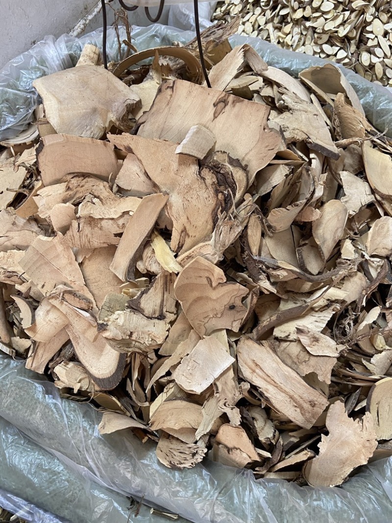 广西白背叶根，野生精品，量大从优，欢迎致电