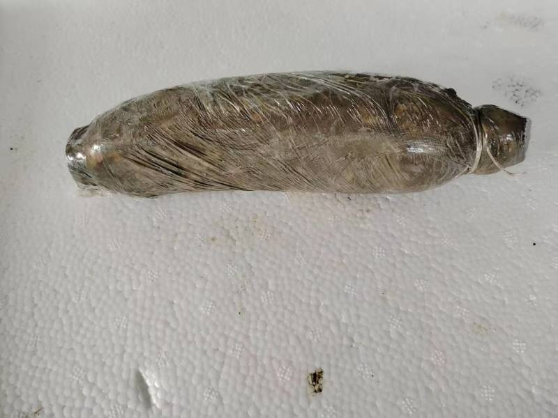 洪湖粉藕洪湖莲藕大量上市产地直发量大从优欢迎来电