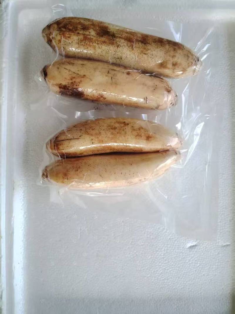 洪湖粉藕洪湖莲藕大量上市产地直发量大从优欢迎来电