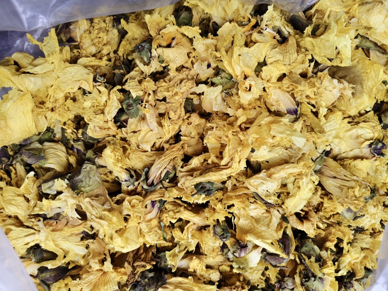 黄蜀葵花批发零售黄蜀葵花量大优惠