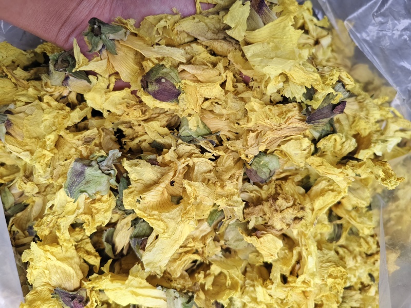 黄蜀葵花批发零售黄蜀葵花量大优惠