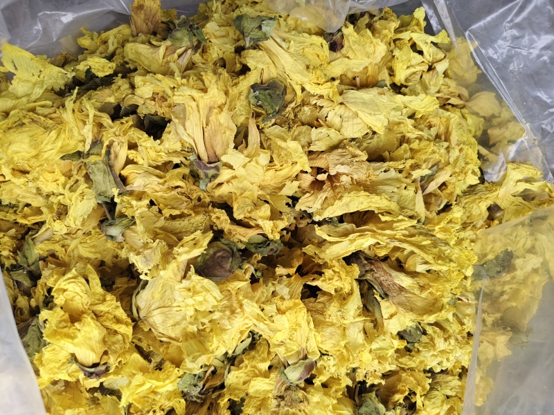 黄蜀葵花批发零售黄蜀葵花量大优惠