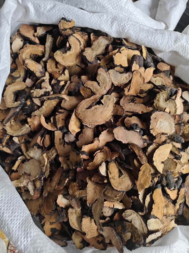 拳参正品拳参批发零售量大优惠