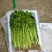 云南精品小香芹