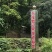 东方神果——广西桂林罗汉果（中果）生果。