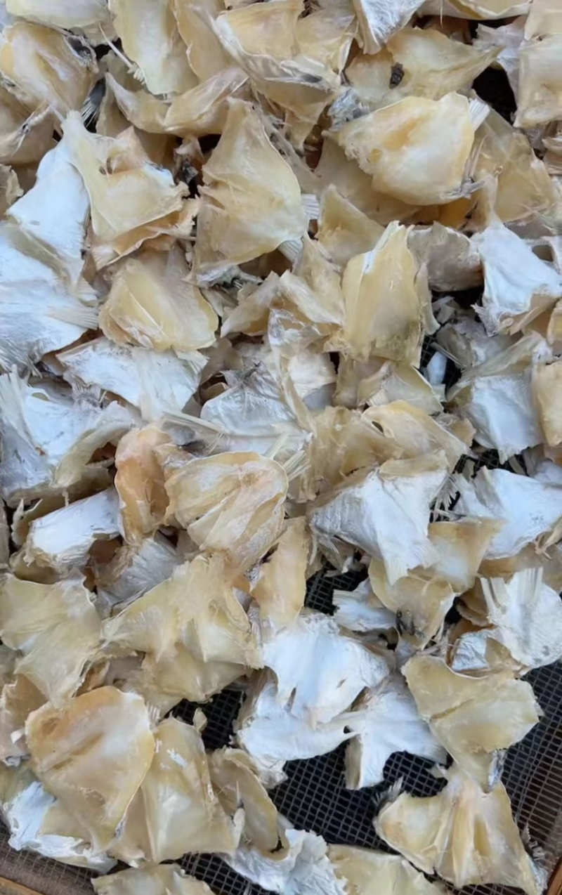 鱼下巴干地摊电商批发鱼下巴海鲈鱼下巴鱼干干鱼