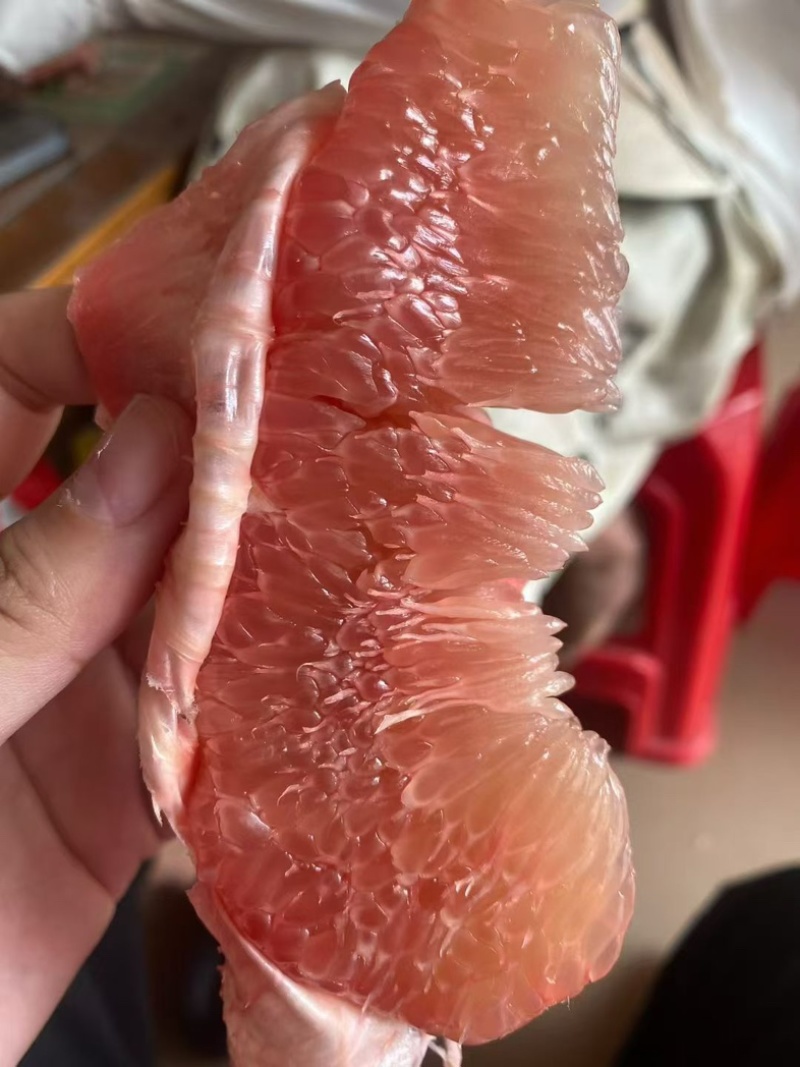 红肉三红柚