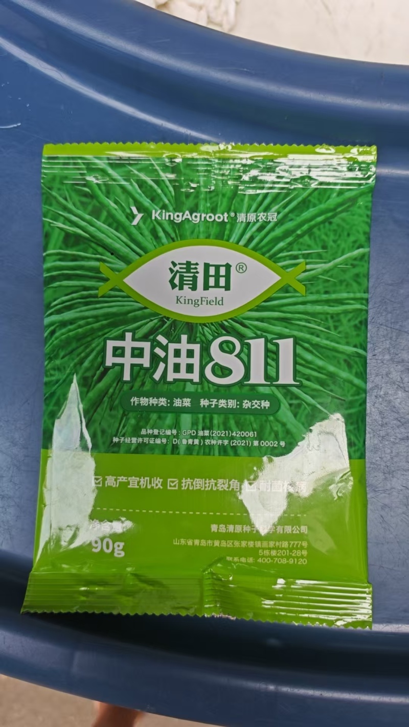 黑油菜种子油菜种子龙油99油菜种子分枝多出油率有优势