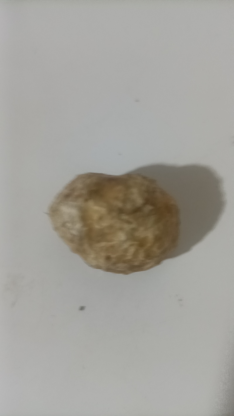 羊黄，羊结石