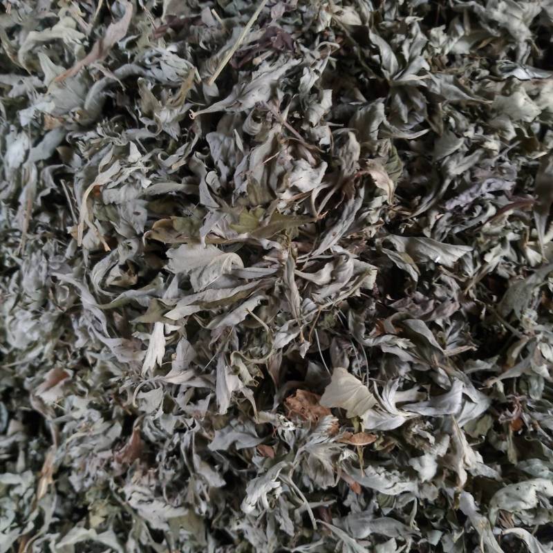 湖北艾叶南阳艾叶艾叶干货大艾叶陈艾端午艾艾灸艾绒艾草蕲艾