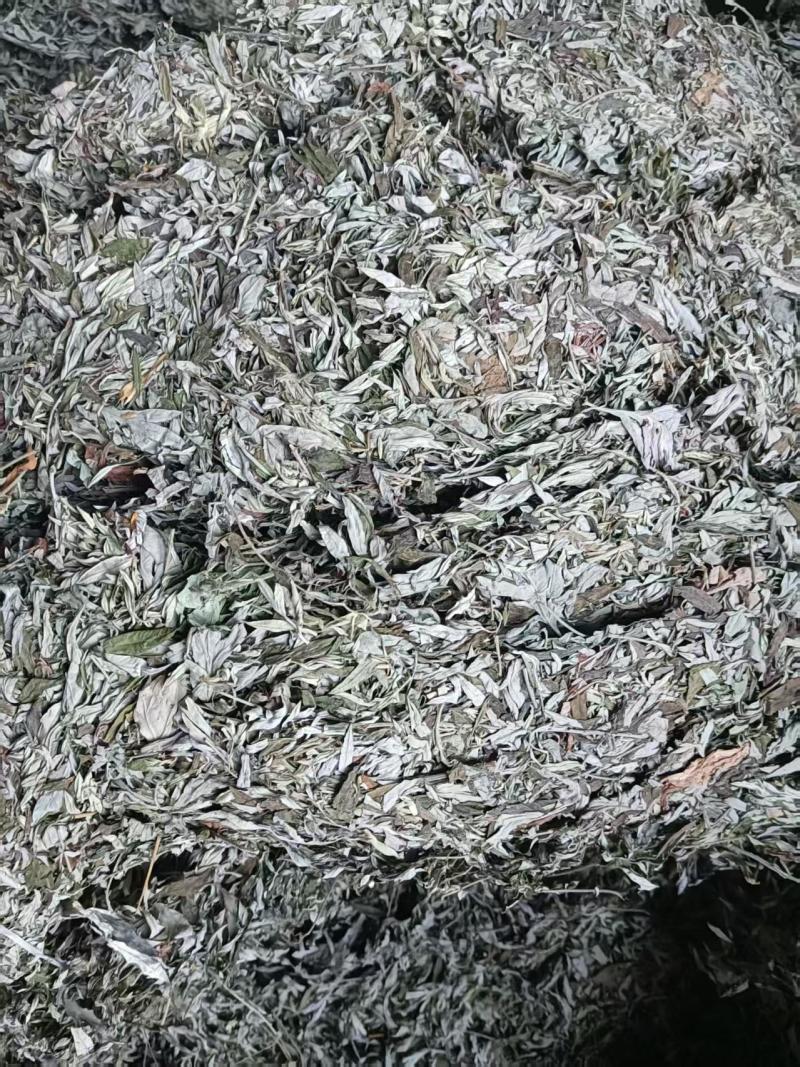 湖北艾叶端午艾陈艾头茬艾大白艾大艾叶艾绒艾条