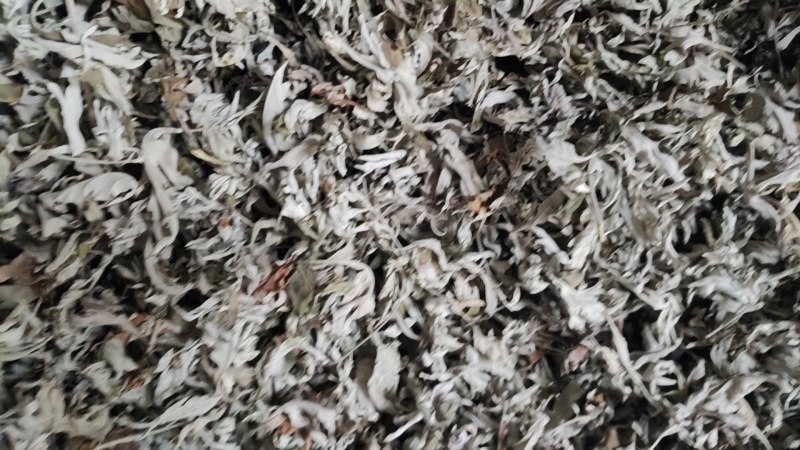 湖北艾叶端午艾陈艾头茬艾大白艾大艾叶艾绒艾条