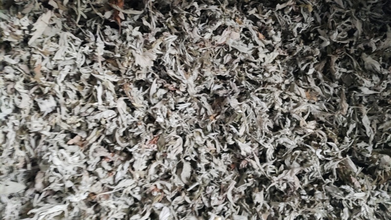 湖北艾叶端午艾陈艾头茬艾大白艾大艾叶艾绒艾条