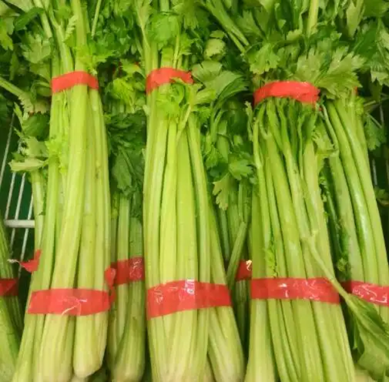 芹菜，现摘现发，田间鲜到舌尖，产地直销，生态种植