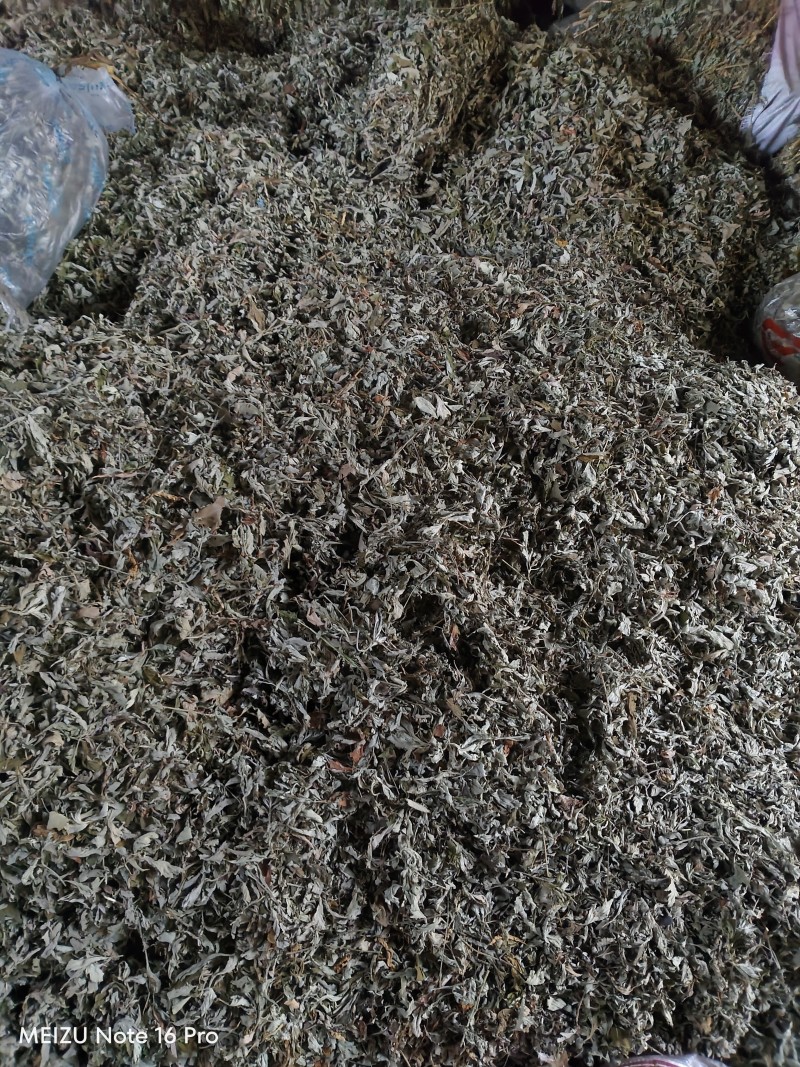 湖北艾叶端午艾陈艾头茬艾大白艾大艾叶艾绒艾条