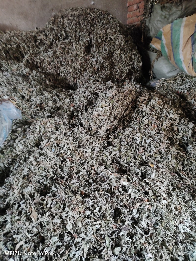 湖北艾叶端午艾陈艾头茬艾大白艾大艾叶艾绒艾条