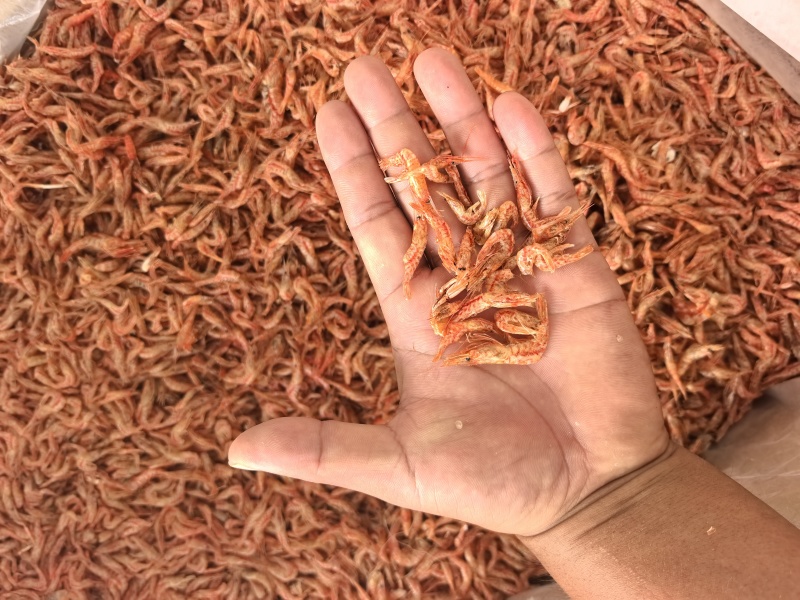 红烤虾花虾干樱花虾干小河虾干