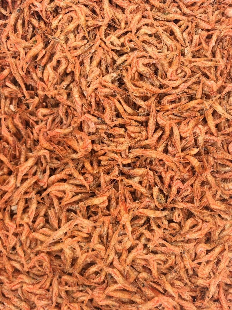 红烤虾花虾干樱花虾干小河虾干