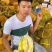金枕榴莲一手批发价格