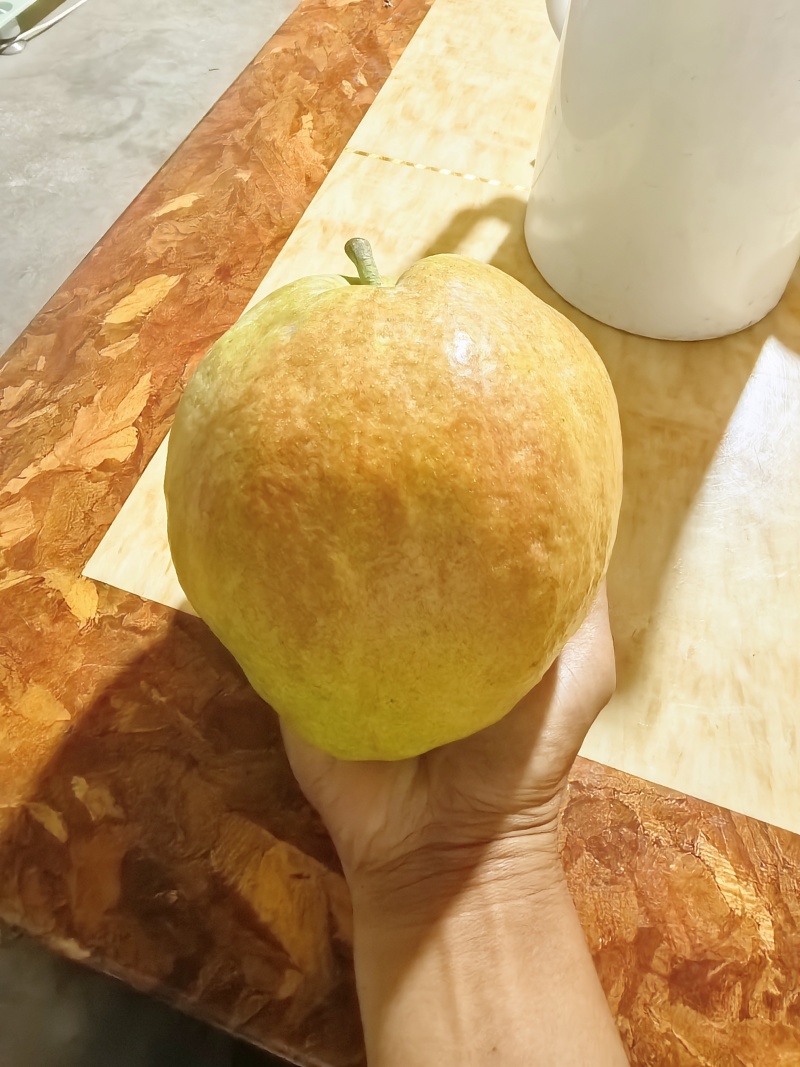 新疆阿克苏阿瓦提县玉露香梨