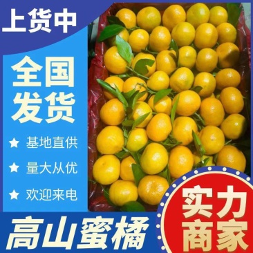 【四川蜜橘】资中县蜜橘/糖度高/对接商超档口便宜