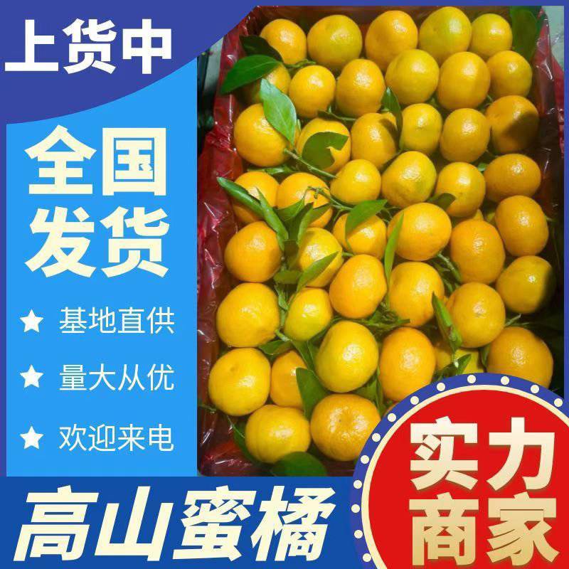 【四川蜜橘】资中县蜜橘/糖度高/对接商超档口便宜