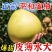 毛毛钱