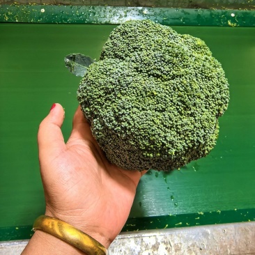 西兰花
