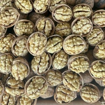 新疆阿克苏纸皮核桃仁