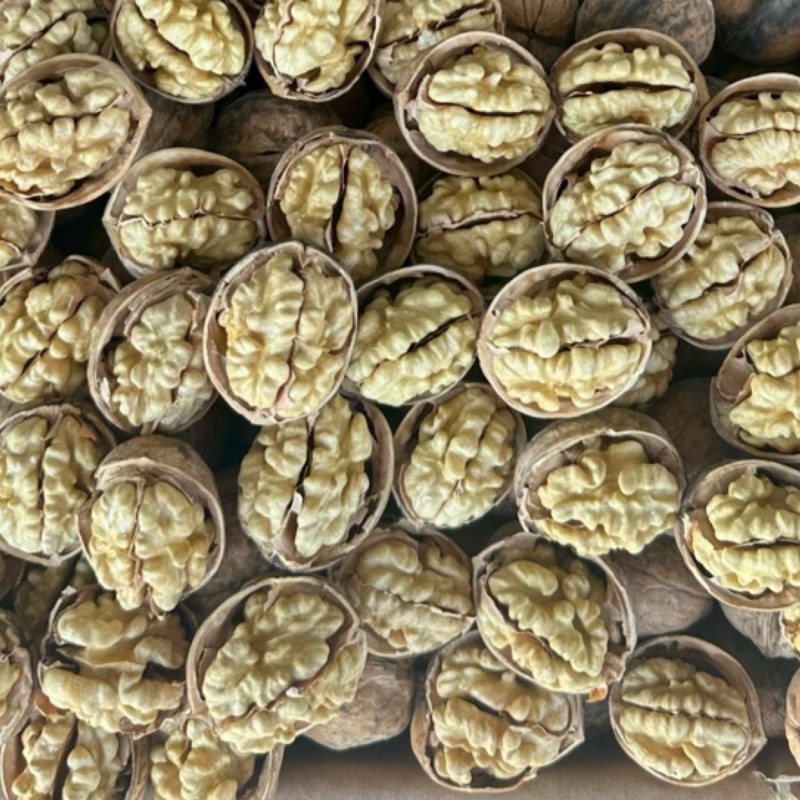 新疆阿克苏纸皮核桃仁