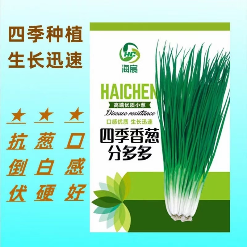 四季香葱分葱种子分多多小葱种籽易种阳台蔬菜盆栽大田分葱种