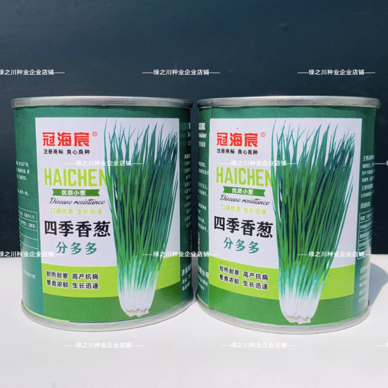四季香葱分葱种子分多多小葱种籽易种阳台蔬菜盆栽大田分葱种