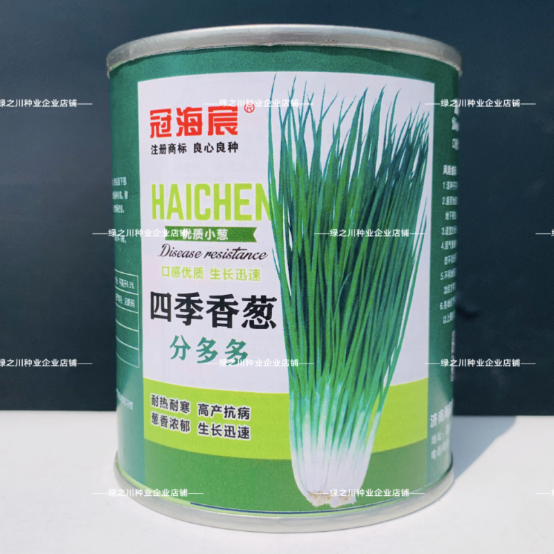 四季香葱分葱种子分多多小葱种籽易种阳台蔬菜盆栽大田分葱种
