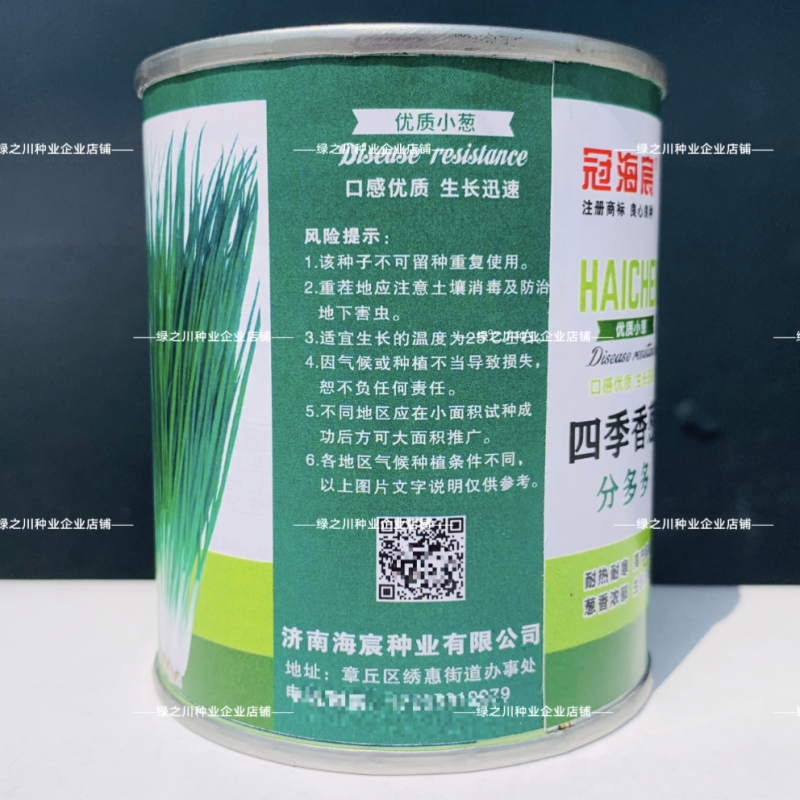 四季香葱分葱种子分多多小葱种籽易种阳台蔬菜盆栽大田分葱种