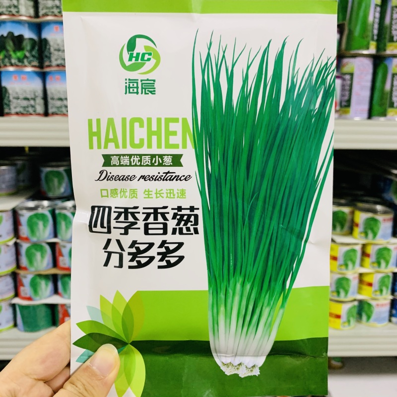 四季香葱分葱种子分多多小葱种籽易种阳台蔬菜盆栽大田分葱种