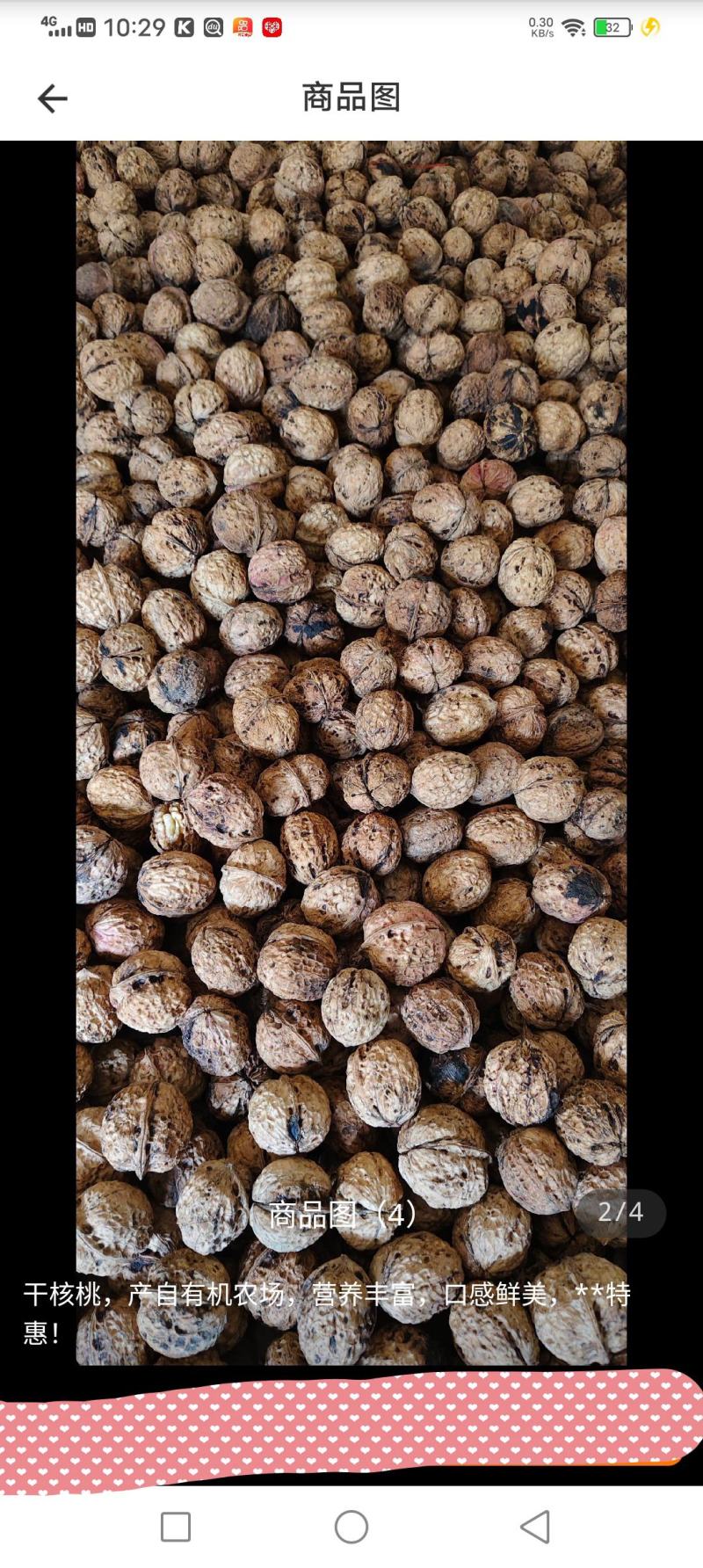 老树核桃
