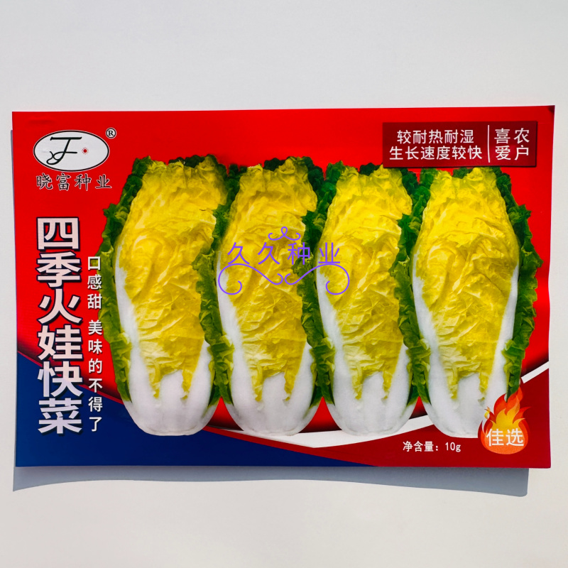 四季火娃快菜种子无毛速生小白菜种籽甜嫩苗用大白菜四季