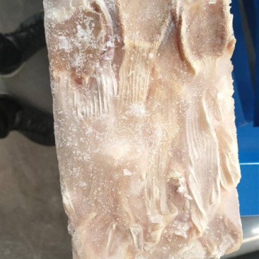 鸭食带规格齐全冷链发货量大价格优惠欢迎咨询