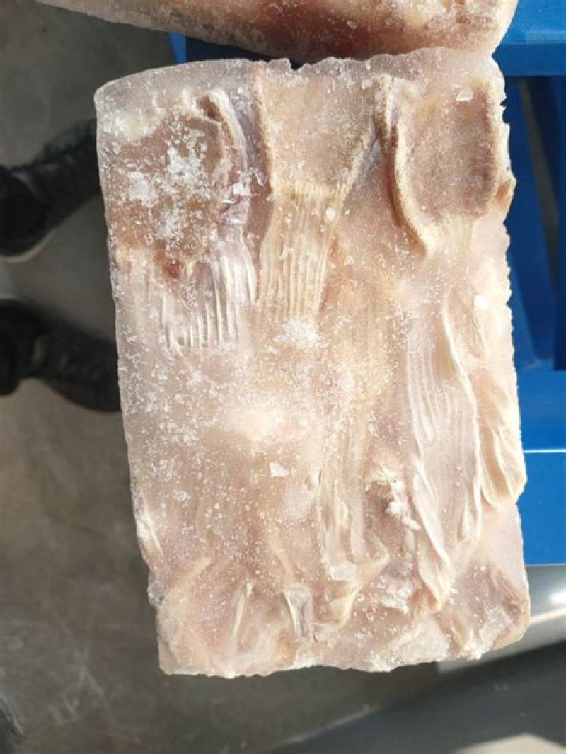 鸭食带规格齐全冷链发货量大价格优惠欢迎咨询