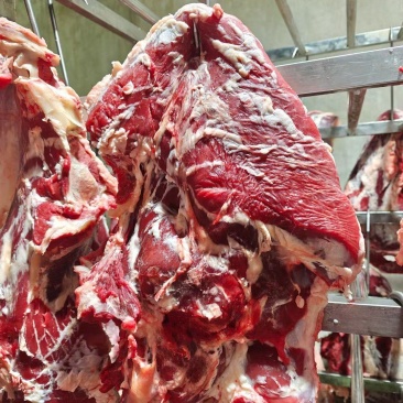 牛肉全牛十六分体精修去油纯干货统价23一斤一件起发
