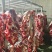 牛肉全牛十六分体精修去油纯干货统价23一斤一件起发