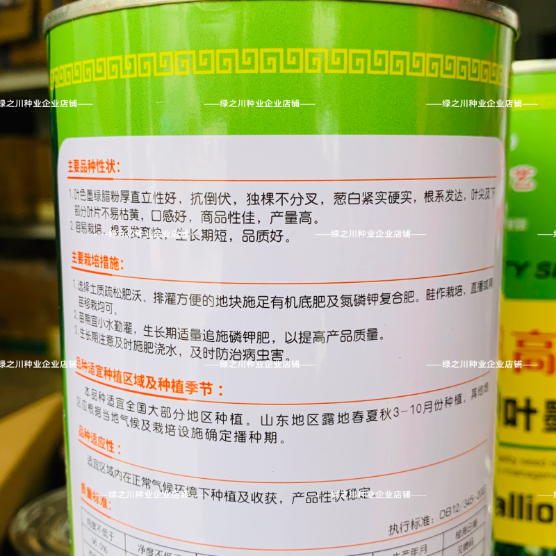 金品高白状元香葱种籽细叶墨绿王葱种子葱杆硬实直立大葱种子